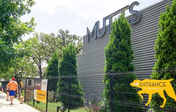 Pet-friendly community